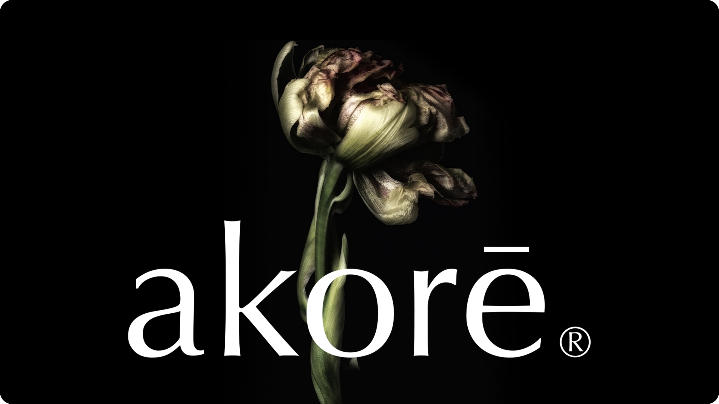 Products Akore products-akore